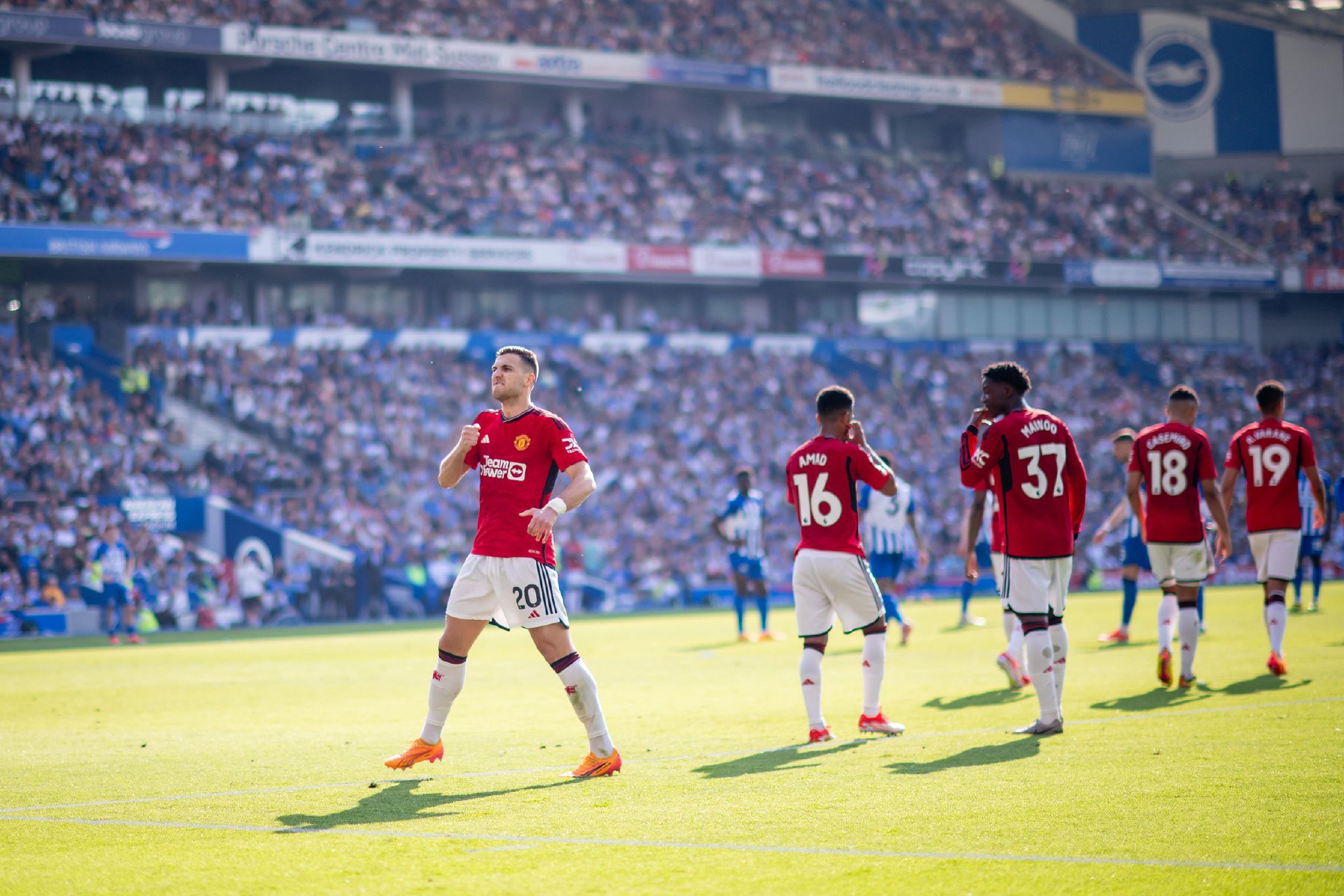 为乒乓球的 为乒乓球的